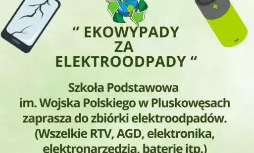 Ekowypady za elektroodpady